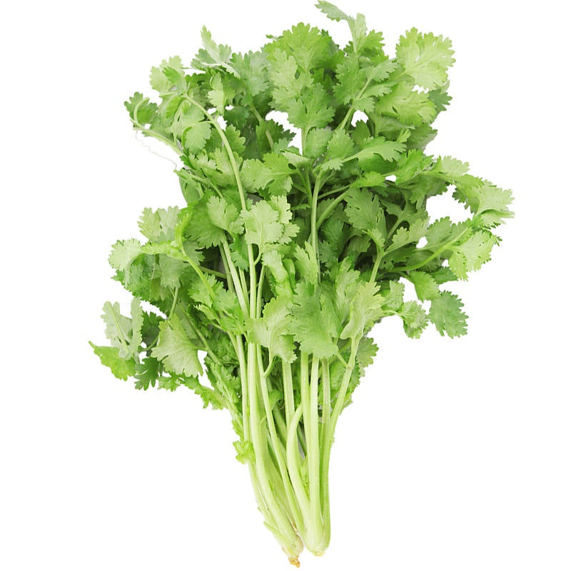 Coriander 30g