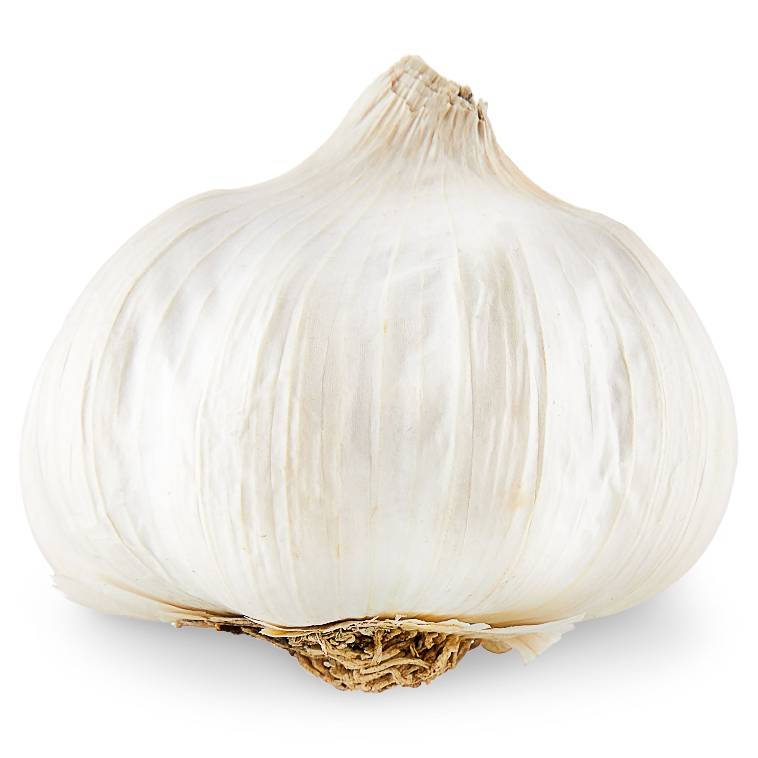 Garlic Head Each