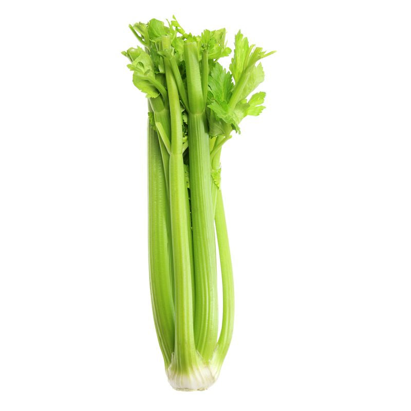 Table Celery Bunch